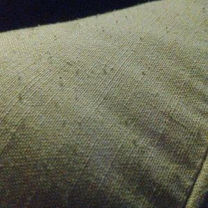 Meet your Posher, Tamara